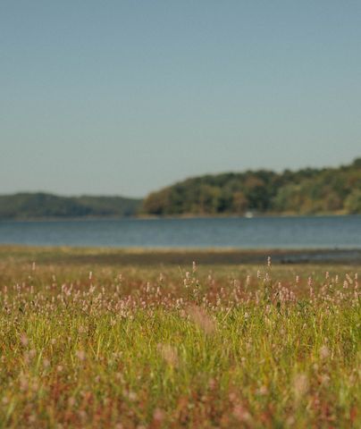 5845 Turkey Creek Rd, Waverly, TN 37185