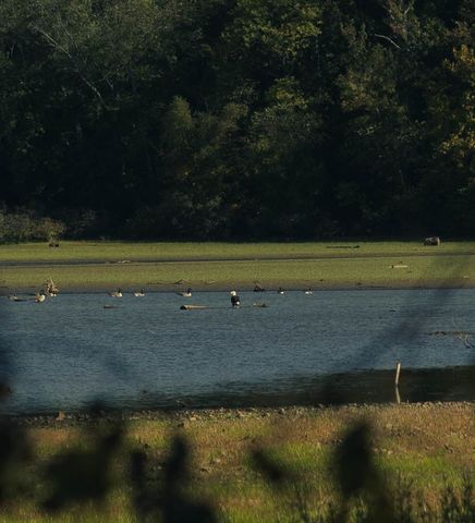 5845 Turkey Creek Rd, Waverly, TN 37185