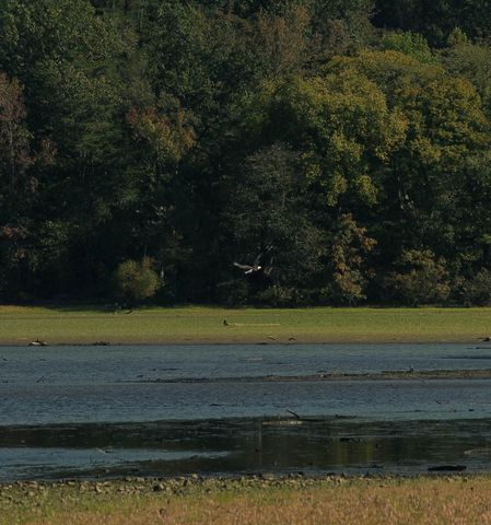 5845 Turkey Creek Rd, Waverly, TN 37185