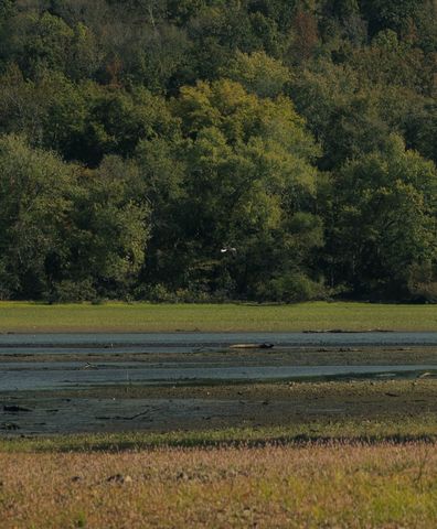 5845 Turkey Creek Rd, Waverly, TN 37185