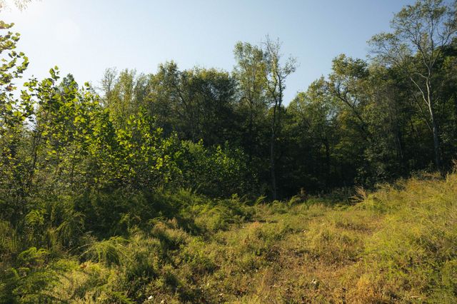 5845 Turkey Creek Rd, Waverly, TN 37185