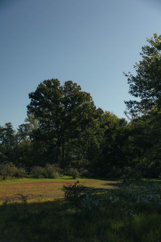 5845 Turkey Creek Rd, Waverly, TN 37185