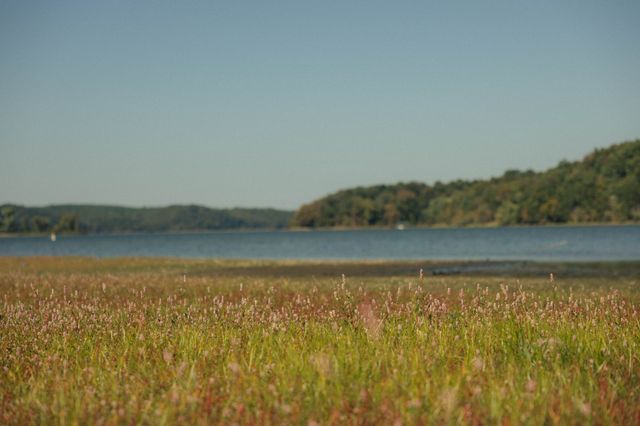 5845 Turkey Creek Rd, Waverly, TN 37185