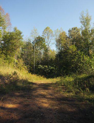 5845 Turkey Creek Rd, Waverly, TN 37185