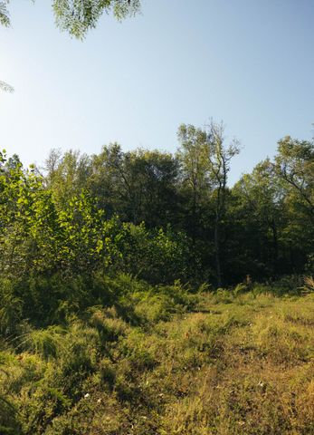 5845 Turkey Creek Rd, Waverly, TN 37185