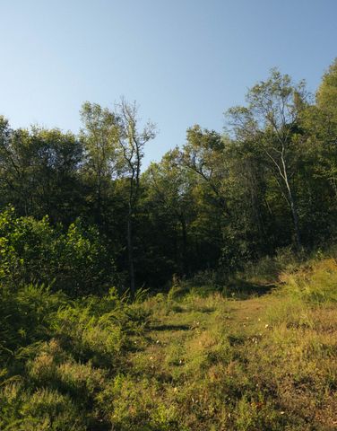 5845 Turkey Creek Rd, Waverly, TN 37185