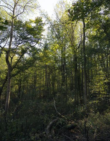 5845 Turkey Creek Rd, Waverly, TN 37185