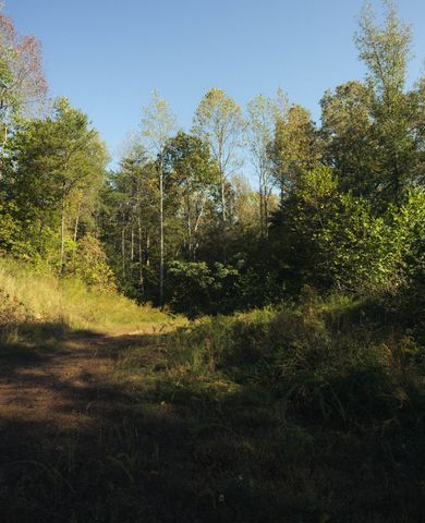 5845 Turkey Creek Rd, Waverly, TN 37185