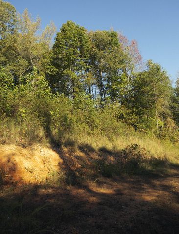 5845 Turkey Creek Rd, Waverly, TN 37185