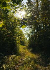 5845 Turkey Creek Rd, Waverly, TN 37185