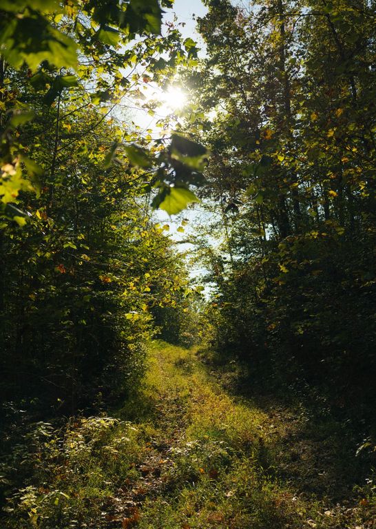 5845 Turkey Creek Rd, Waverly, TN 37185