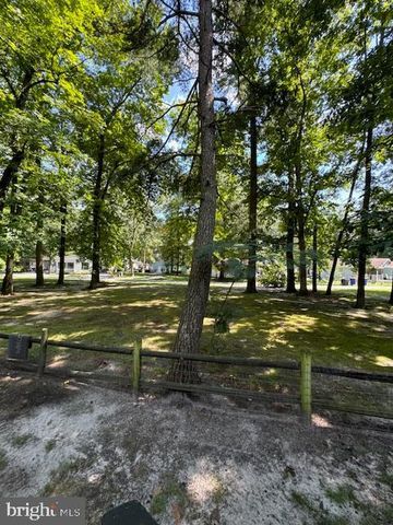 34158 INDIAN CABIN CREEK RD, Millsboro, DE 19966