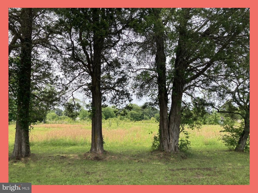 LONGVIEW BLVD, Bushwood, MD 20618