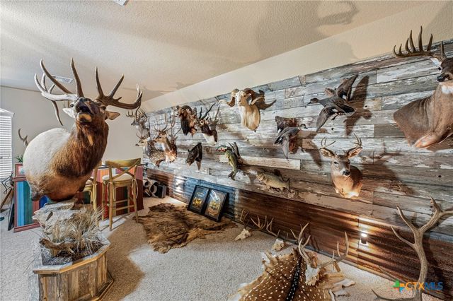 800 Marshall Drive, Belton, TX 76513