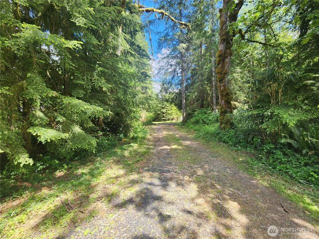 504 47 Winston Creek Road, Mossyrock, WA 98564