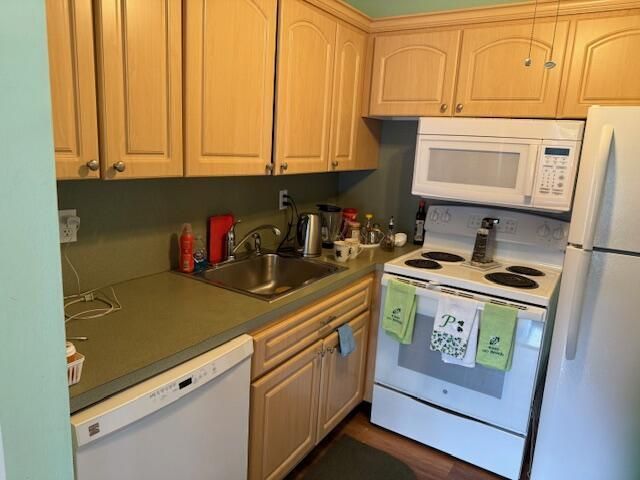 340 W Horizons 205, Boynton Beach, FL 33435