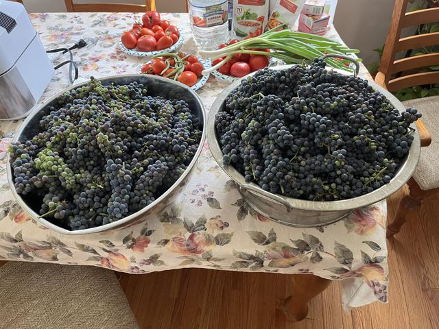 7220 Garfield Avenue, Richfield, MN 55423