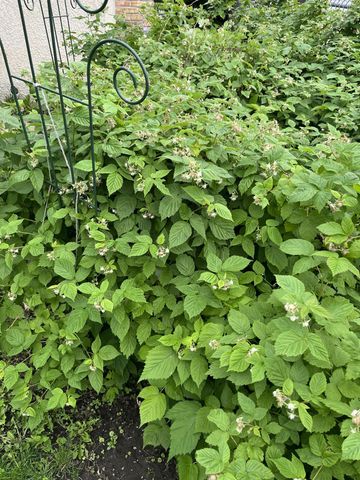 7220 Garfield Avenue, Richfield, MN 55423