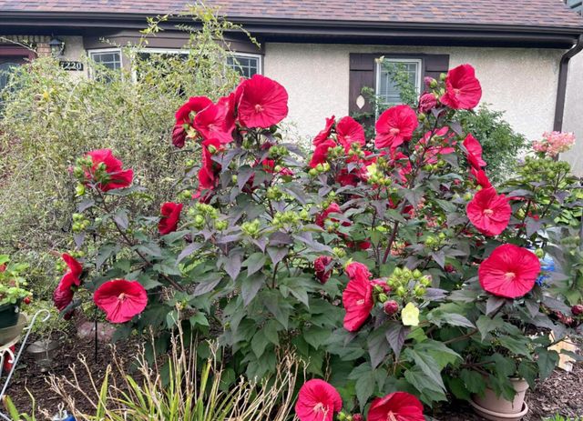 7220 Garfield Avenue, Richfield, MN 55423