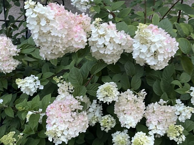 7220 Garfield Avenue, Richfield, MN 55423