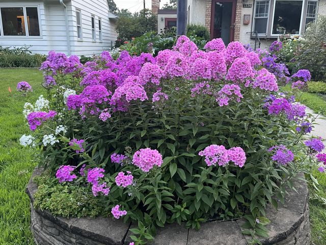 7220 Garfield Avenue, Richfield, MN 55423