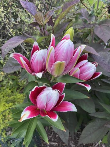 7220 Garfield Avenue, Richfield, MN 55423