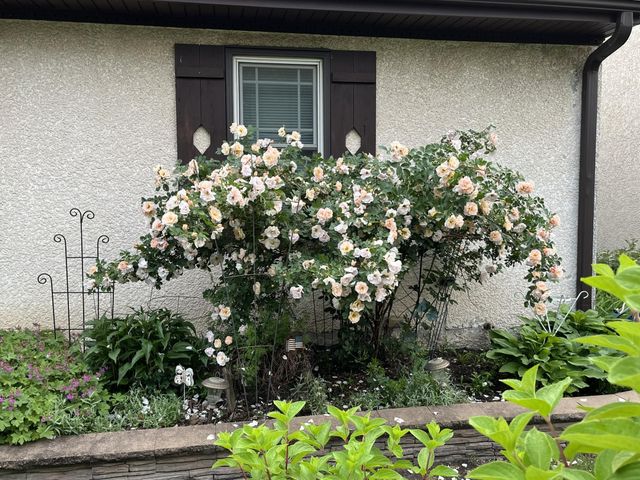 7220 Garfield Avenue, Richfield, MN 55423