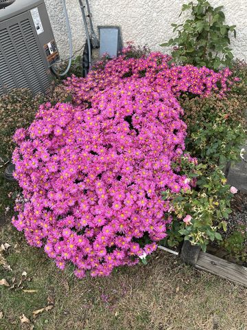 7220 Garfield Avenue, Richfield, MN 55423