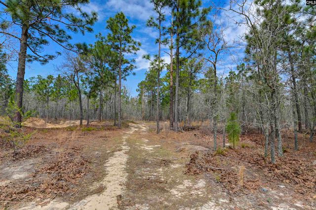 359 Sturkie Lane, Gaston, SC 29053