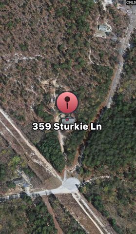 359 Sturkie Lane, Gaston, SC 29053