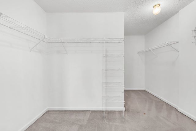 153 Edmonds Way, Clarksville, TN 37043