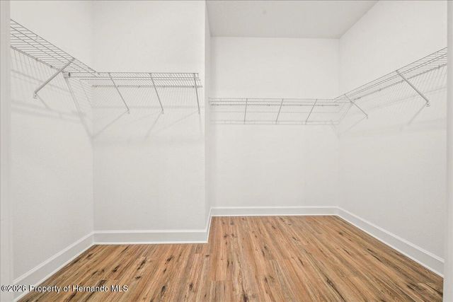 10459 Abbeville Street, Spring Hill, FL 34608