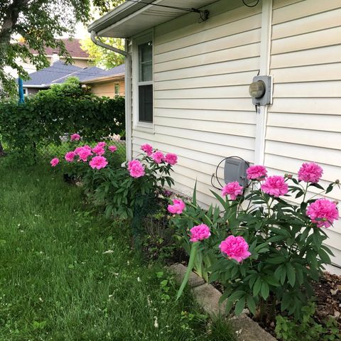 5616 Beard Avenue S, Edina, MN 55410