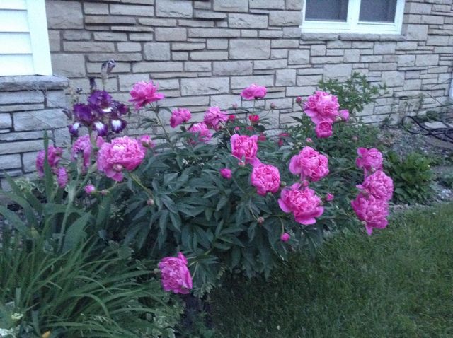 5616 Beard Avenue S, Edina, MN 55410