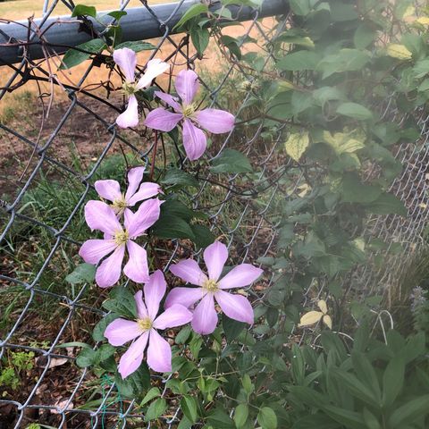 5616 Beard Avenue S, Edina, MN 55410