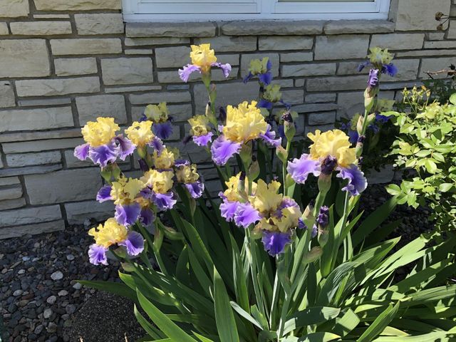 5616 Beard Avenue S, Edina, MN 55410