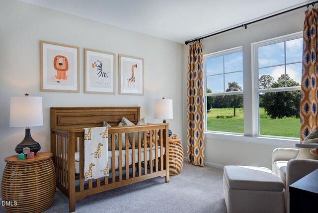 229 Blue Butterfly Drive, Angier, NC 27501