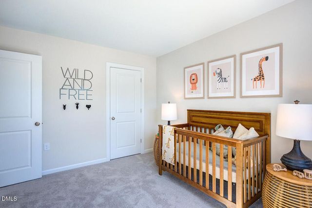 229 Blue Butterfly Drive, Angier, NC 27501