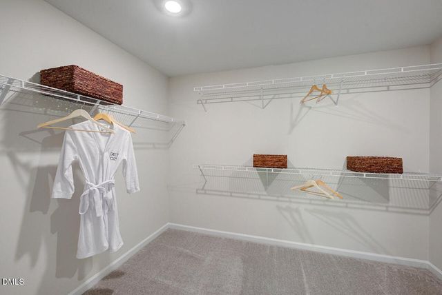 229 Blue Butterfly Drive, Angier, NC 27501