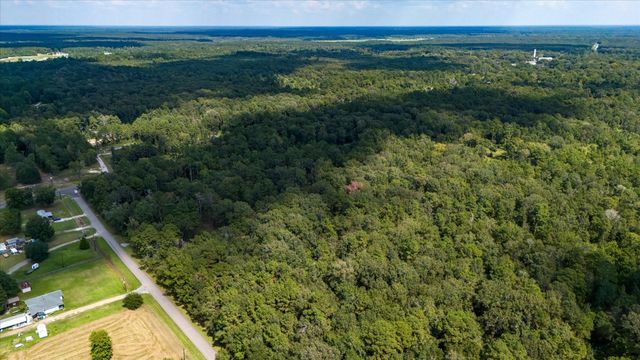 0 Lemon Fregia Rd, Batson, TX 77519