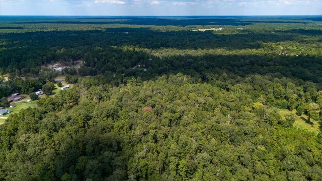 0 Lemon Fregia Rd, Batson, TX 77519