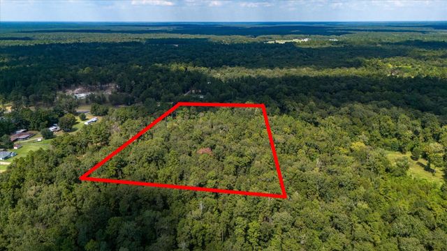 0 Lemon Fregia Rd, Batson, TX 77519