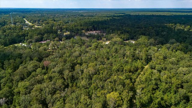 0 Lemon Fregia Rd, Batson, TX 77519