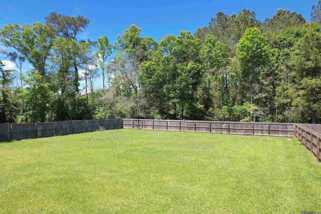 13031 N Ridge Dr, Walker, LA 70785