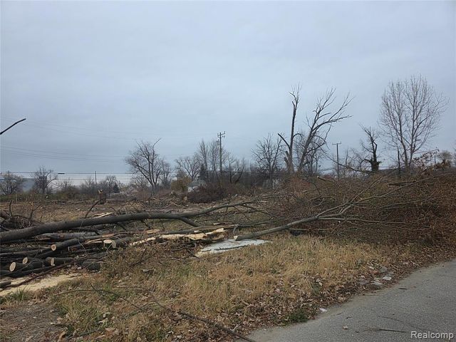 528 Adeline Street, Highland Park, MI 48203