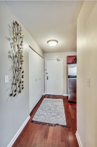 222 E PEARSON Street 2307, Chicago, IL 60611