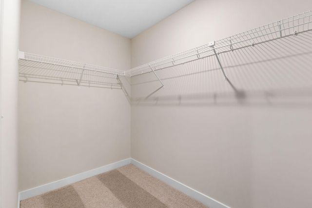 19533 Hamburg Avenue, Lakeville, MN 55044