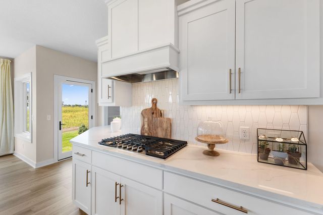 19533 Hamburg Avenue, Lakeville, MN 55044