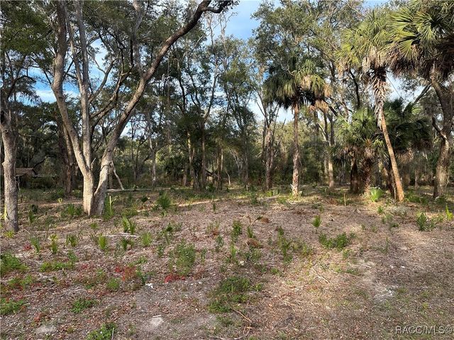 8125 Catrina Lane, Crystal River, FL 34429