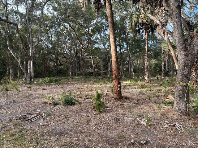 8125 Catrina Lane, Crystal River, FL 34429